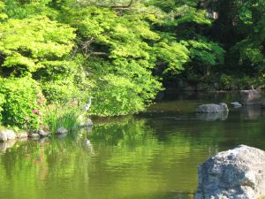 ogrody japońskie - zdjecie 5