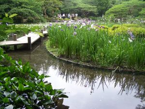 ogrody japońskie - zdjecie 7